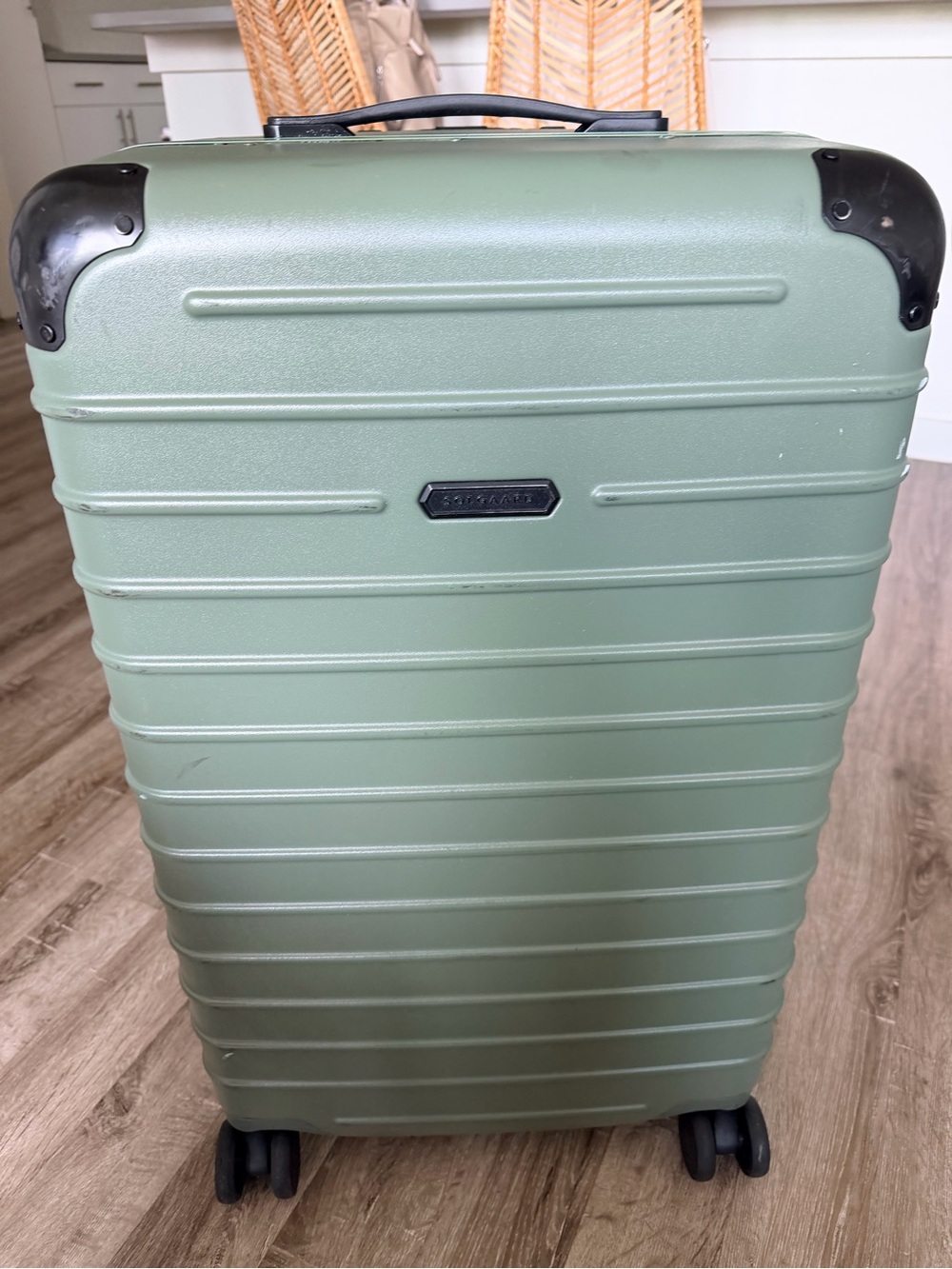 LIMITED EDITION COLOR: Olive Green SOLGAARD -  Hard Shell Large & Medium Set